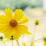 全国电视频道清除虚假宣传医药广告